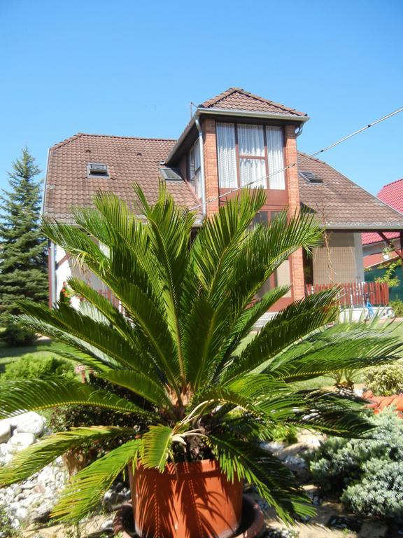 Marika Apartman Szantod Exterior photo